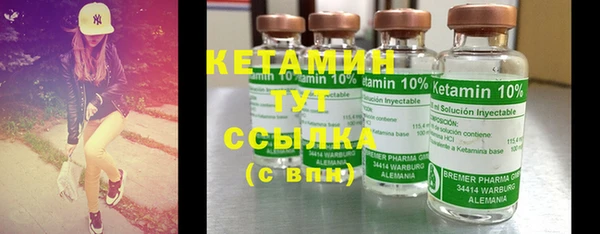 хмурый Болотное