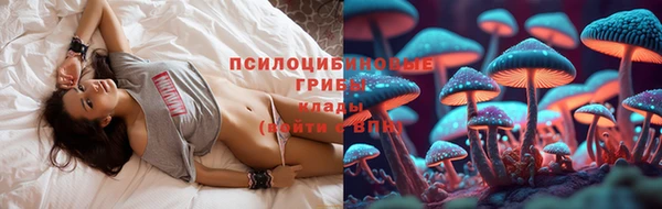таблы Болхов