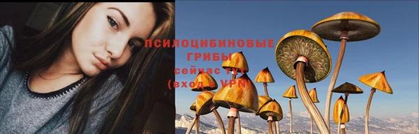 таблы Болхов