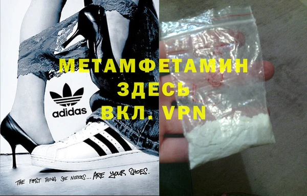 хмурый Болотное