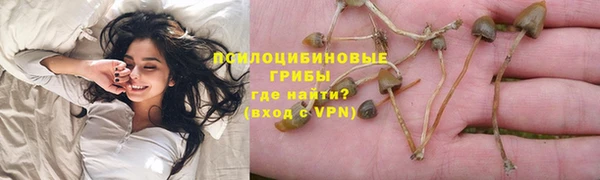 таблы Болхов