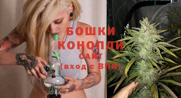 хмурый Болотное