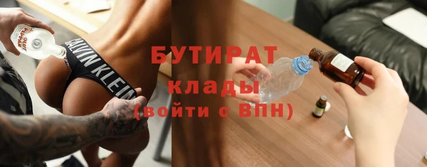 хмурый Болотное
