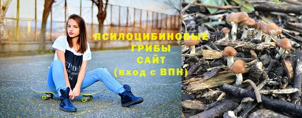 хмурый Болотное