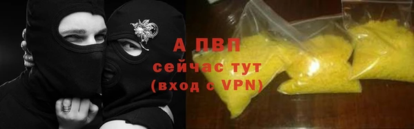 PSILOCYBIN Билибино