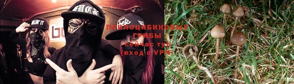 амф Бикин