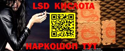 гашик Кандалакша