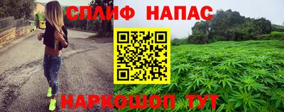 гашик Кандалакша