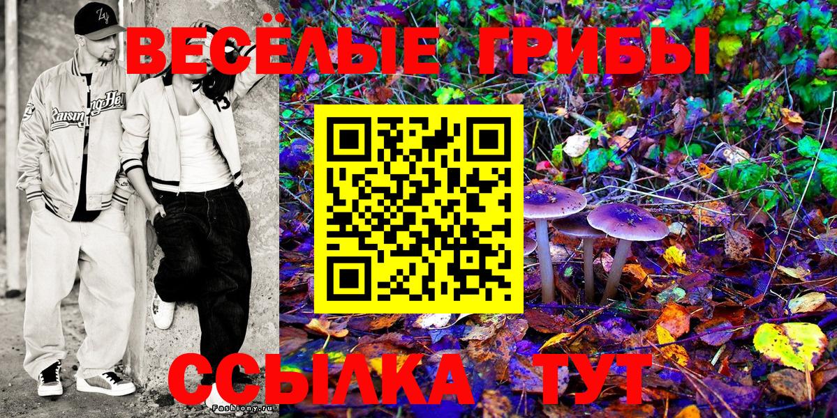 Искитим  Галлюциногенные грибы прущие грибы  Вход с VPN 
