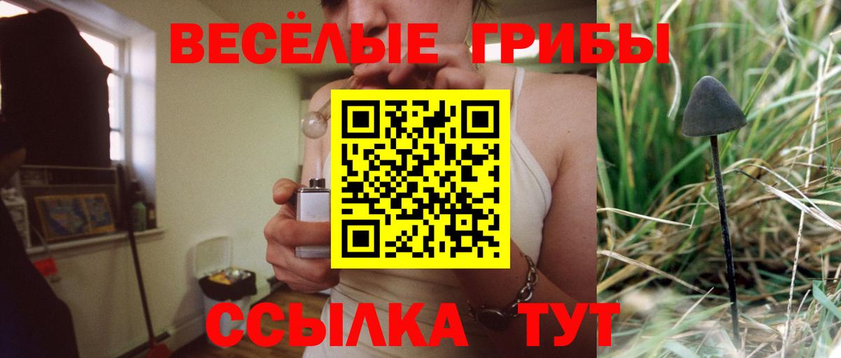 Мефедрон  A-PVP  Гарик  АМФЕТАМИН  COCAIN  Вход с VPN  Гашиш  XTC  Искитим  Канабис 